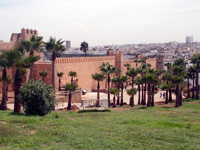 Die Palmen von Marrakesch